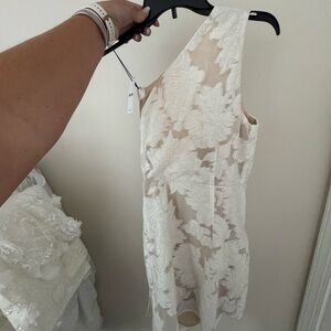 Showpo Lace One-Shoulder Dress